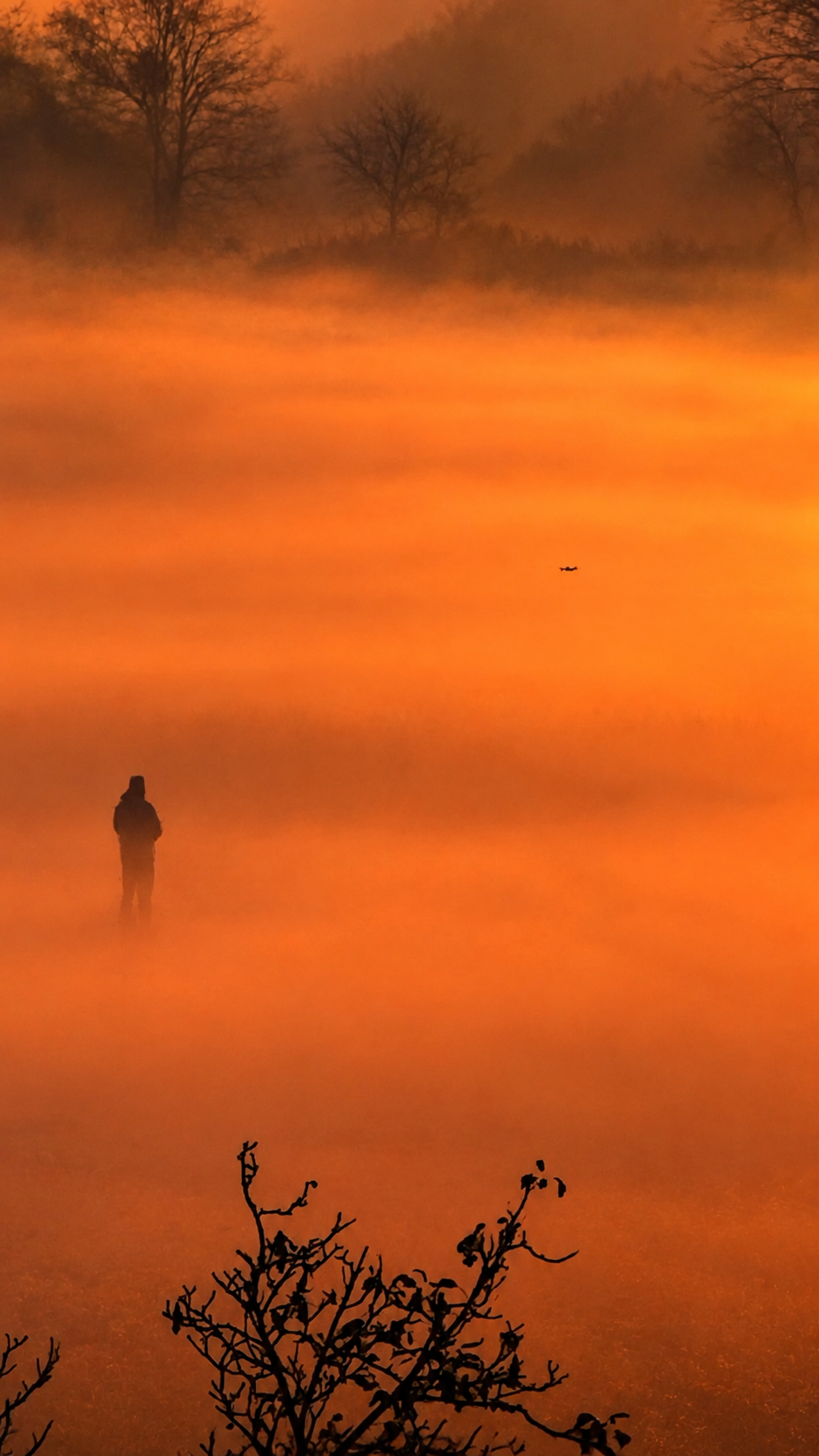 Landschaft aus der Vogelperspektive, eingehüllt in morgendlichen Nebel